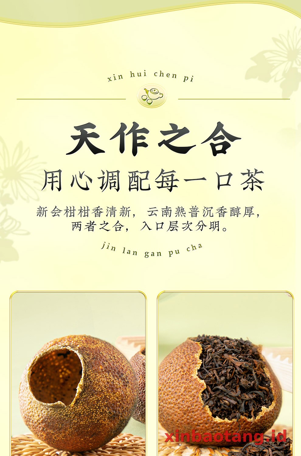 Xinbaotang Ganpu Teh Da Hong Gan Gift Box 240g