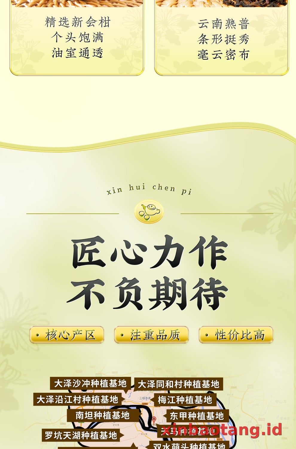 Xinbaotang Ganpu Teh Da Hong Gan Gift Box 240g