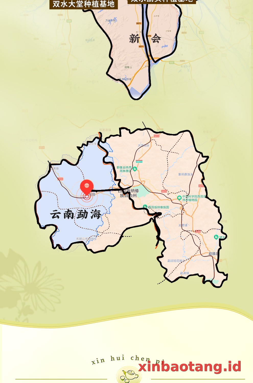 Xinbaotang Ganpu Teh Da Hong Gan Gift Box 240g