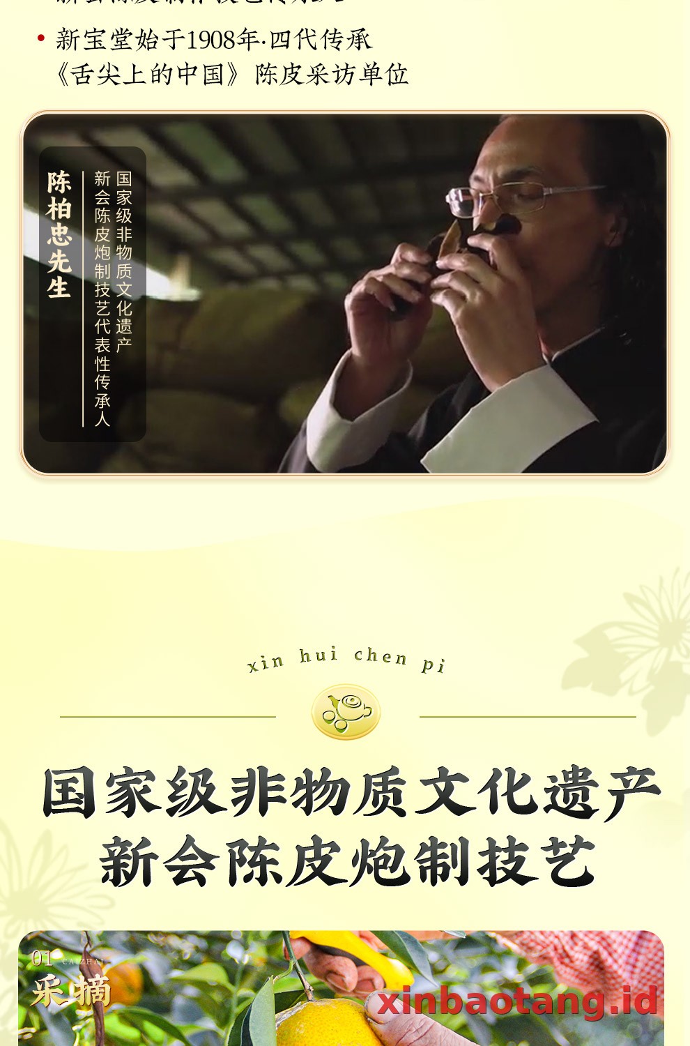 Xinbaotang Ganpu Teh Da Hong Gan Gift Box 240g