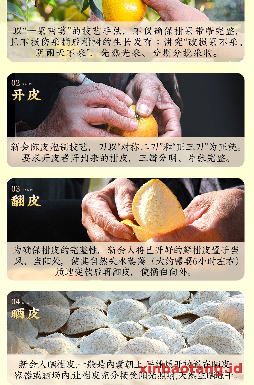 Xinbaotang Ganpu Teh Da Hong Gan Gift Box 240g