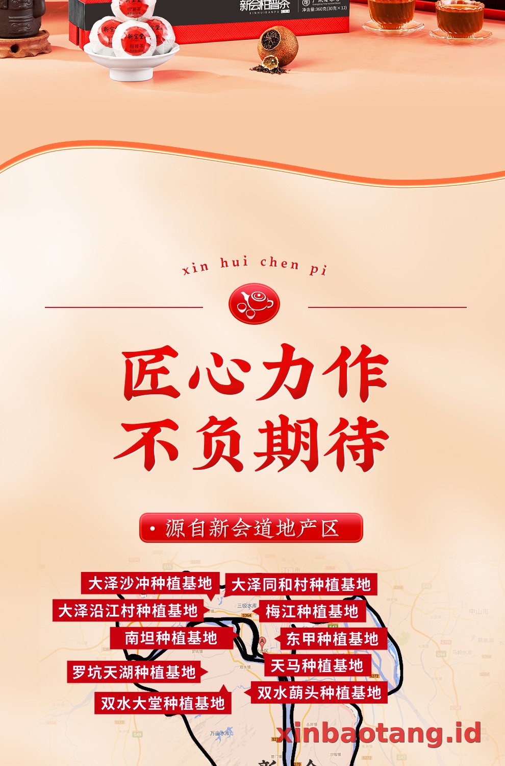 Xinbaotang Ganpu Teh Da Hong Gan Gift Box 360g
