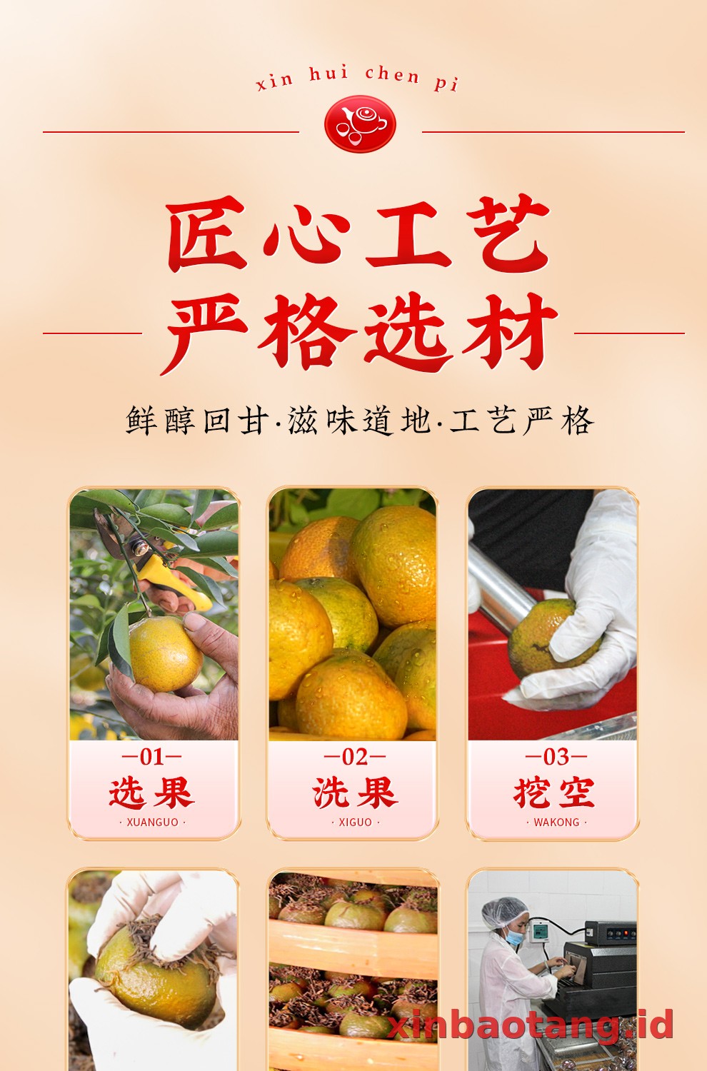 Xinbaotang Ganpu Teh Da Hong Gan Gift Box 360g