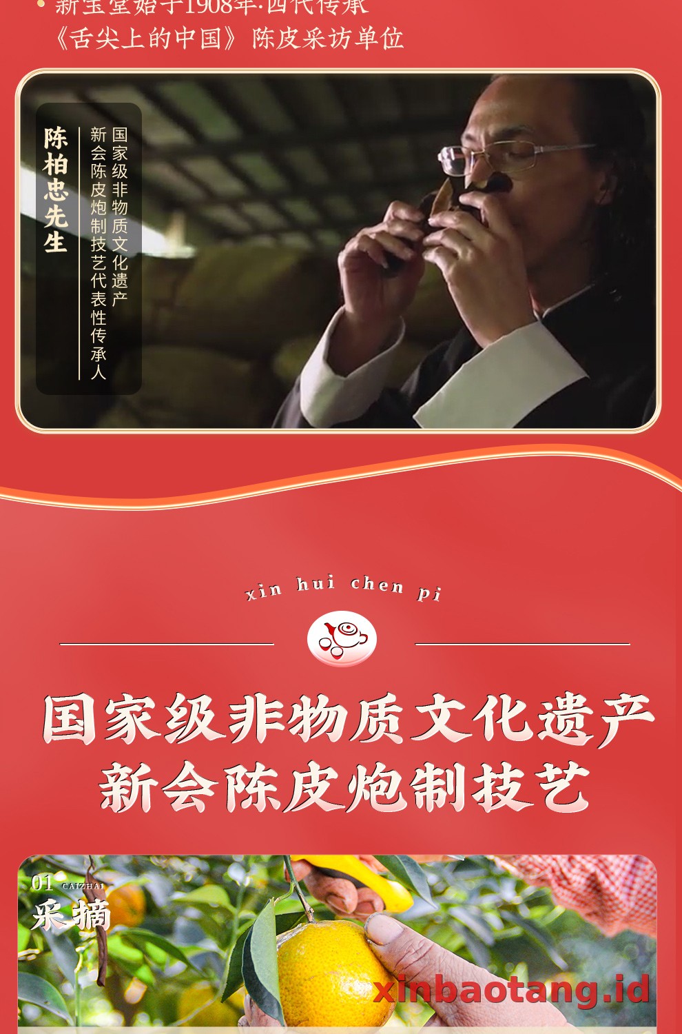 Xinbaotang Ganpu Teh Da Hong Gan Gift Box 360g