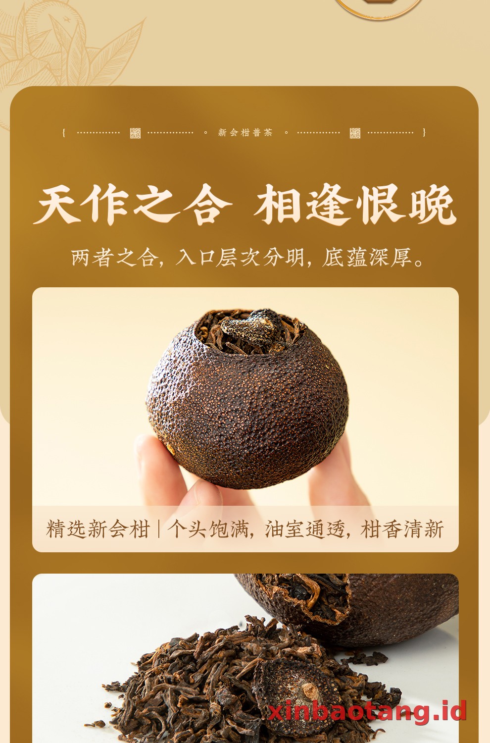 Xinbaotang Ganpu Teh Pu-erh Gift Box 200g