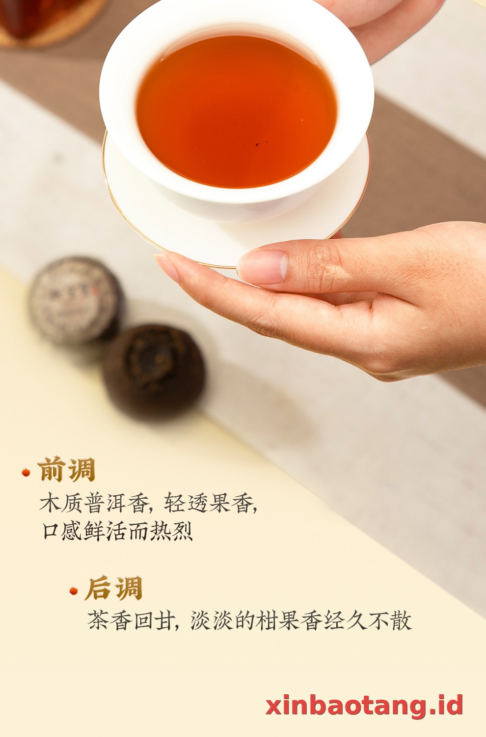 Xinbaotang Ganpu Teh Pu-erh Gift Box 200g