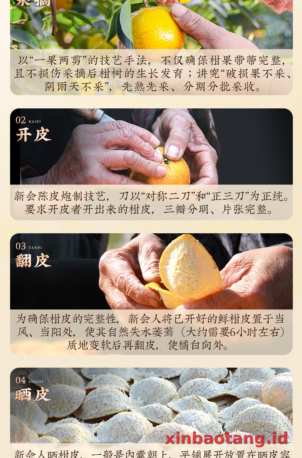 Xinbaotang Ganpu Teh Qing Pi Muda Gift Box 180g