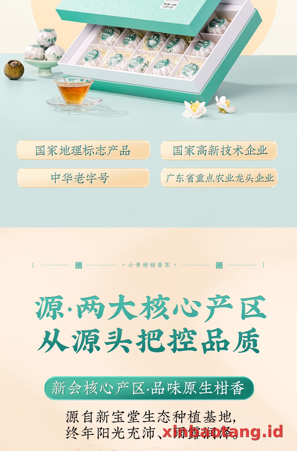 Xinbaotang Ganpu Teh Qing Pi Muda Gift Box 180g