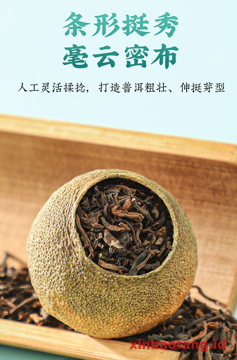 Xinbaotang Ganpu Teh Qing Pi Muda Gift Box 180g