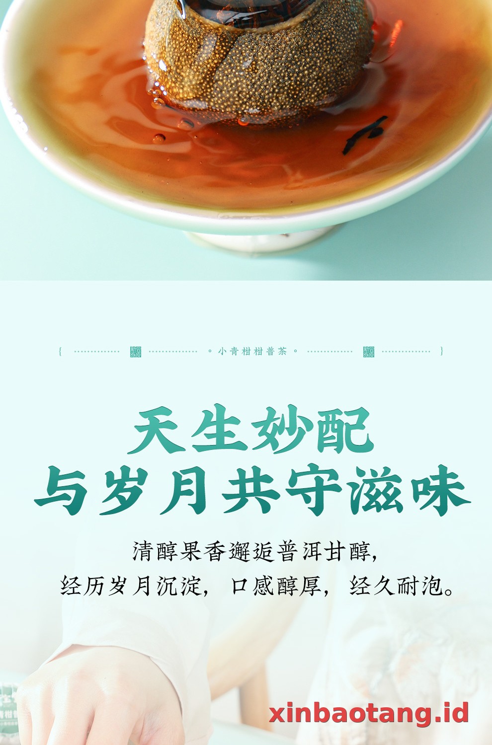 Xinbaotang Ganpu Teh Qing Pi Muda Gift Box 180g