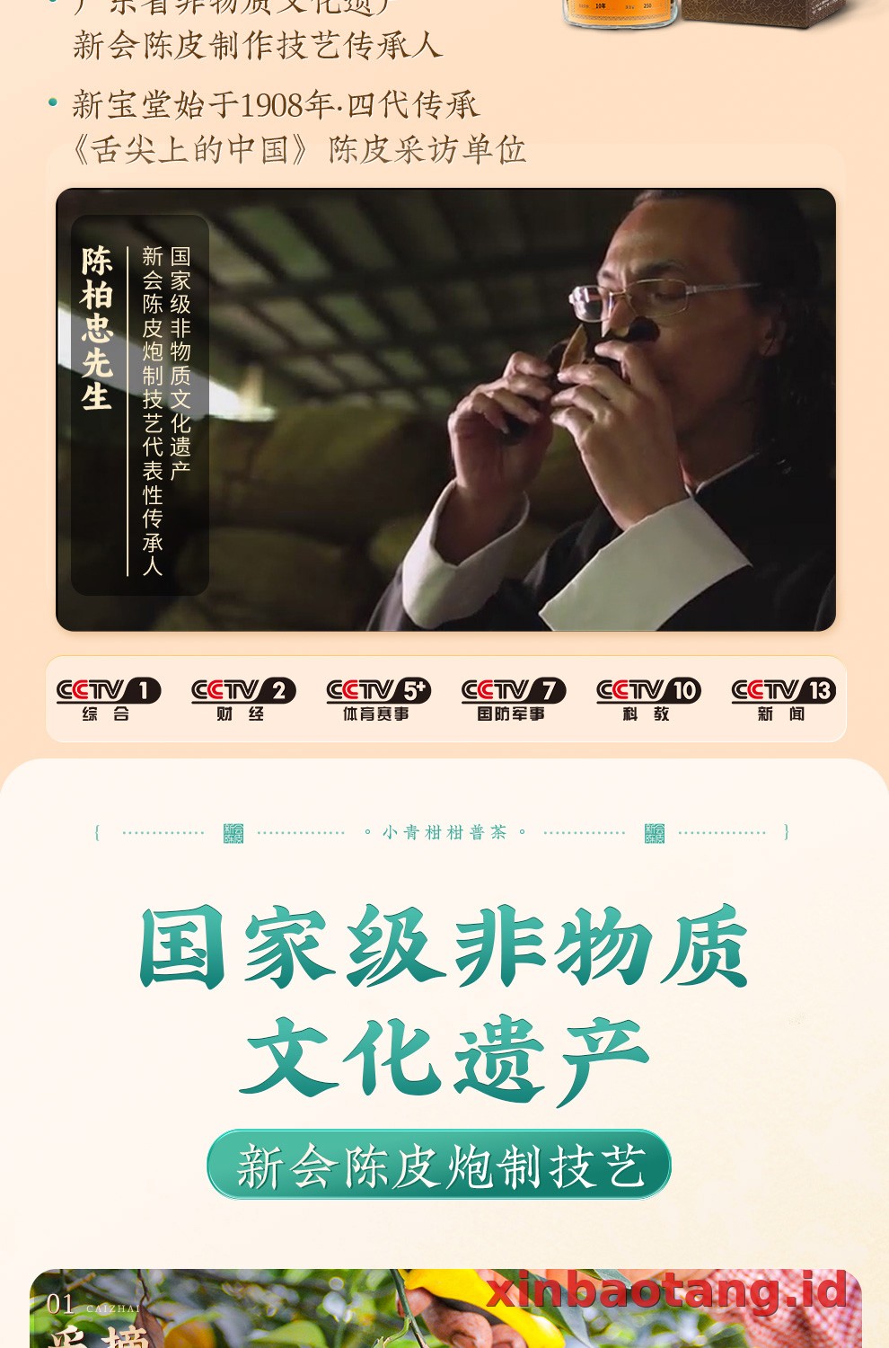 Xinbaotang Ganpu Teh Qing Pi Muda Gift Box 180g