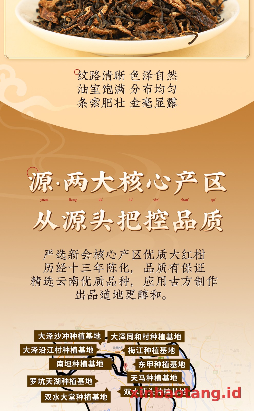Xinbaotang Chenpi Kering Gift Box 60g