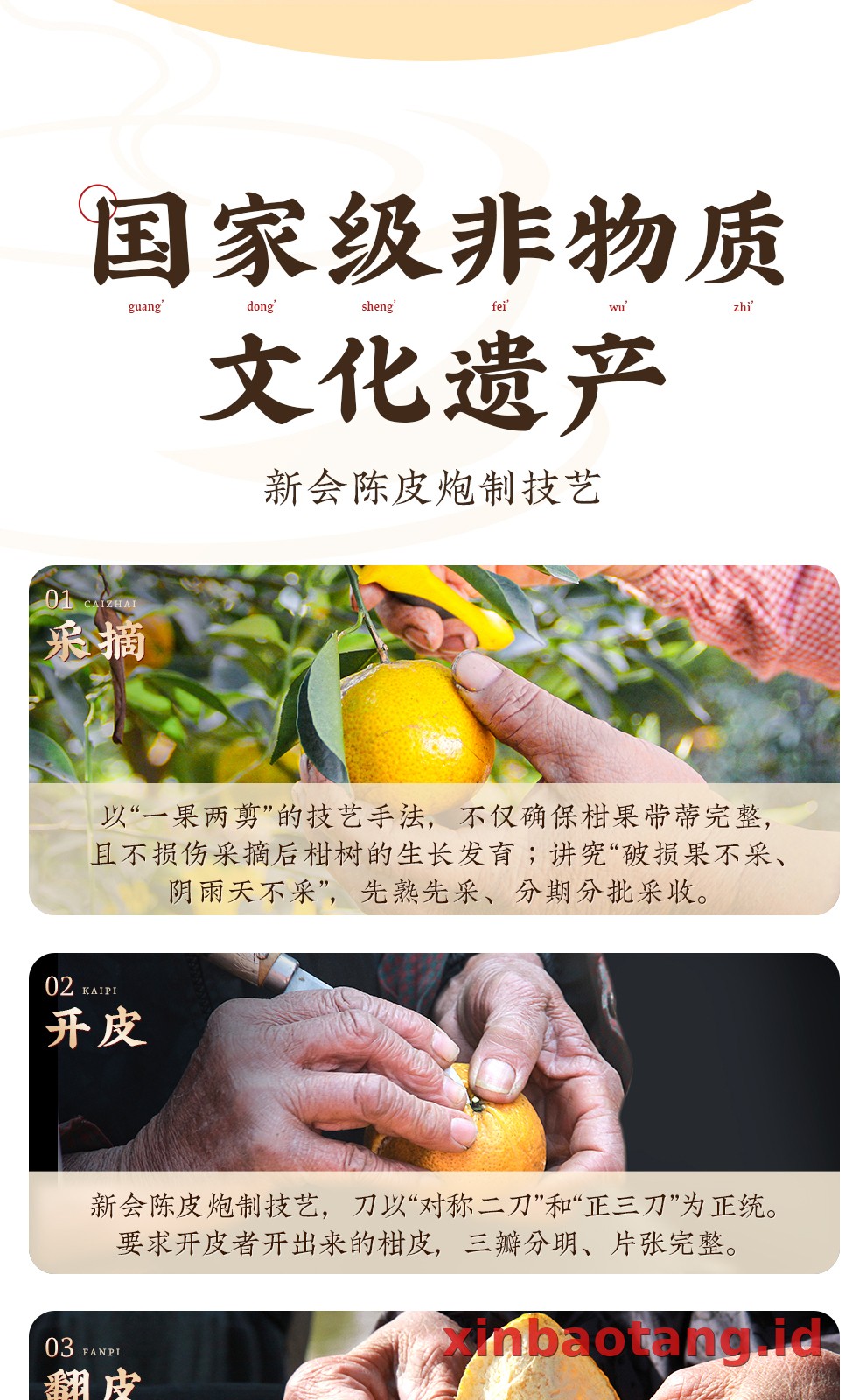 Xinbaotang Chenpi Kering Gift Box 60g