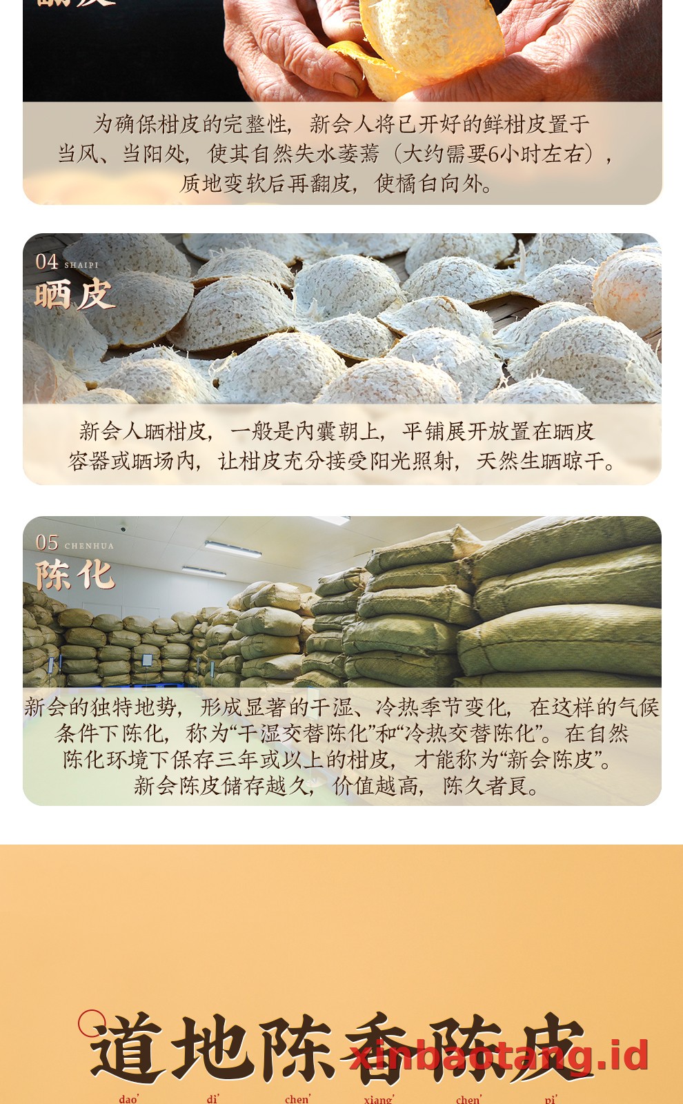 Xinbaotang Chenpi Kering Gift Box 60g