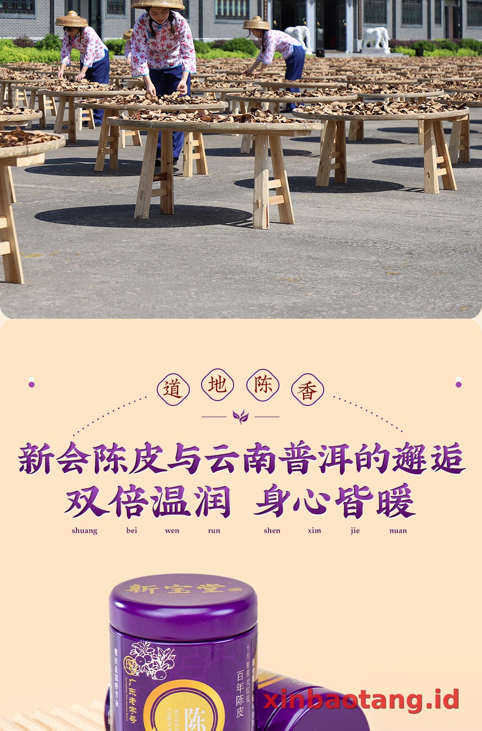 Xinbaotang Chenpu Teh Kaleng Besi 30g