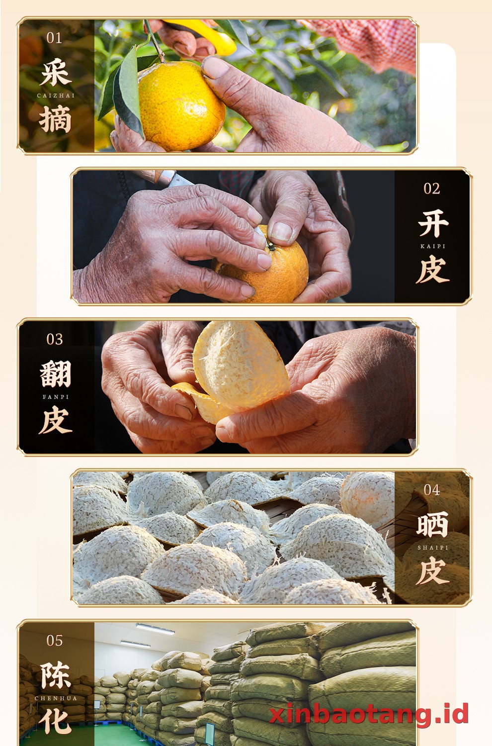 Xinbaotang Chenpu Teh Kaleng Besi 30g
