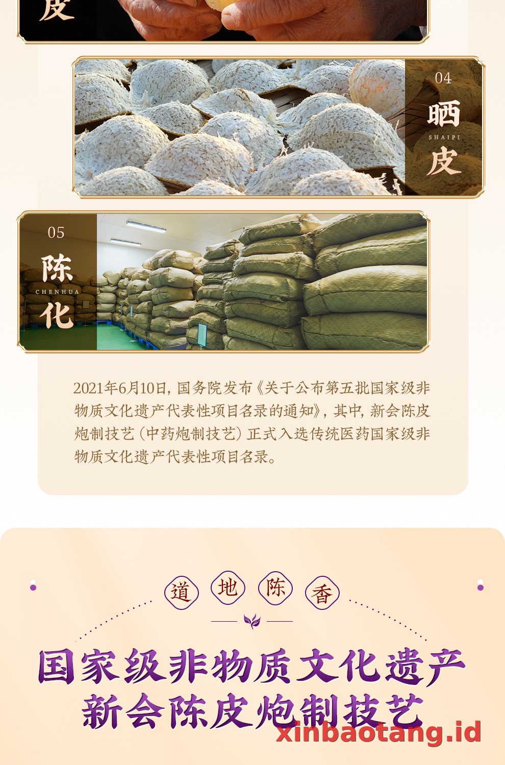 Xinbaotang Chenpi Kering Kaleng Besi 90g