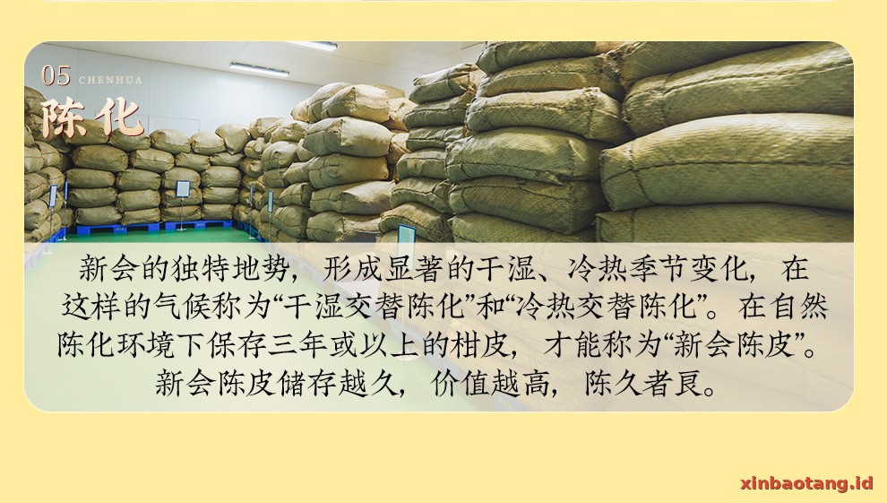 Xinbaotang Chenpi Kering Gift Box 60g