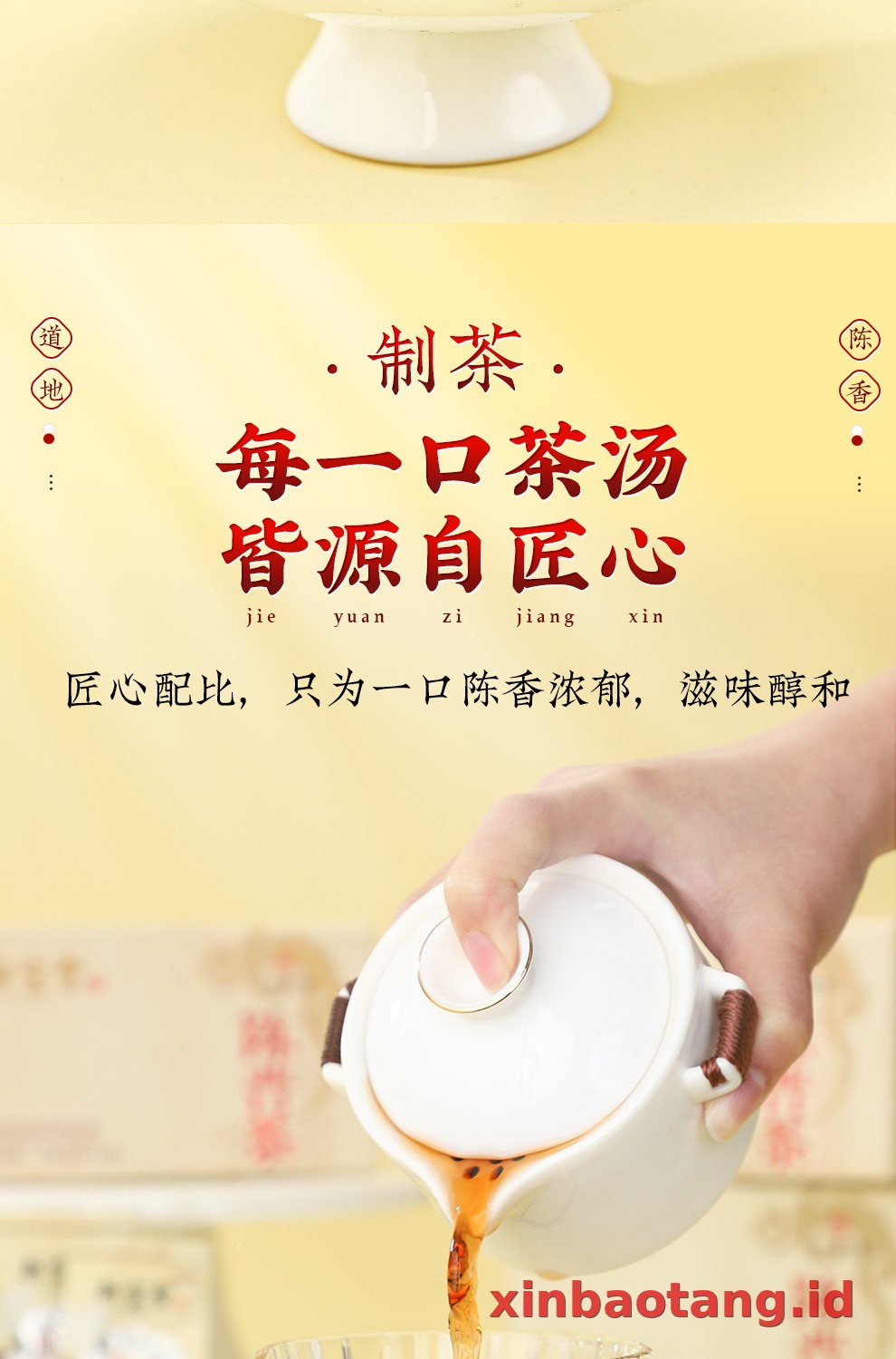 Xinbaotang Chenpi Kering Gift Box 60g