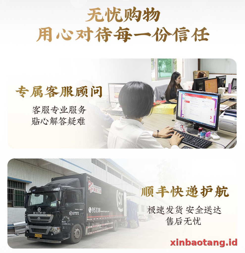 Xinbaotang Chenpi Kering Gift Box 60g