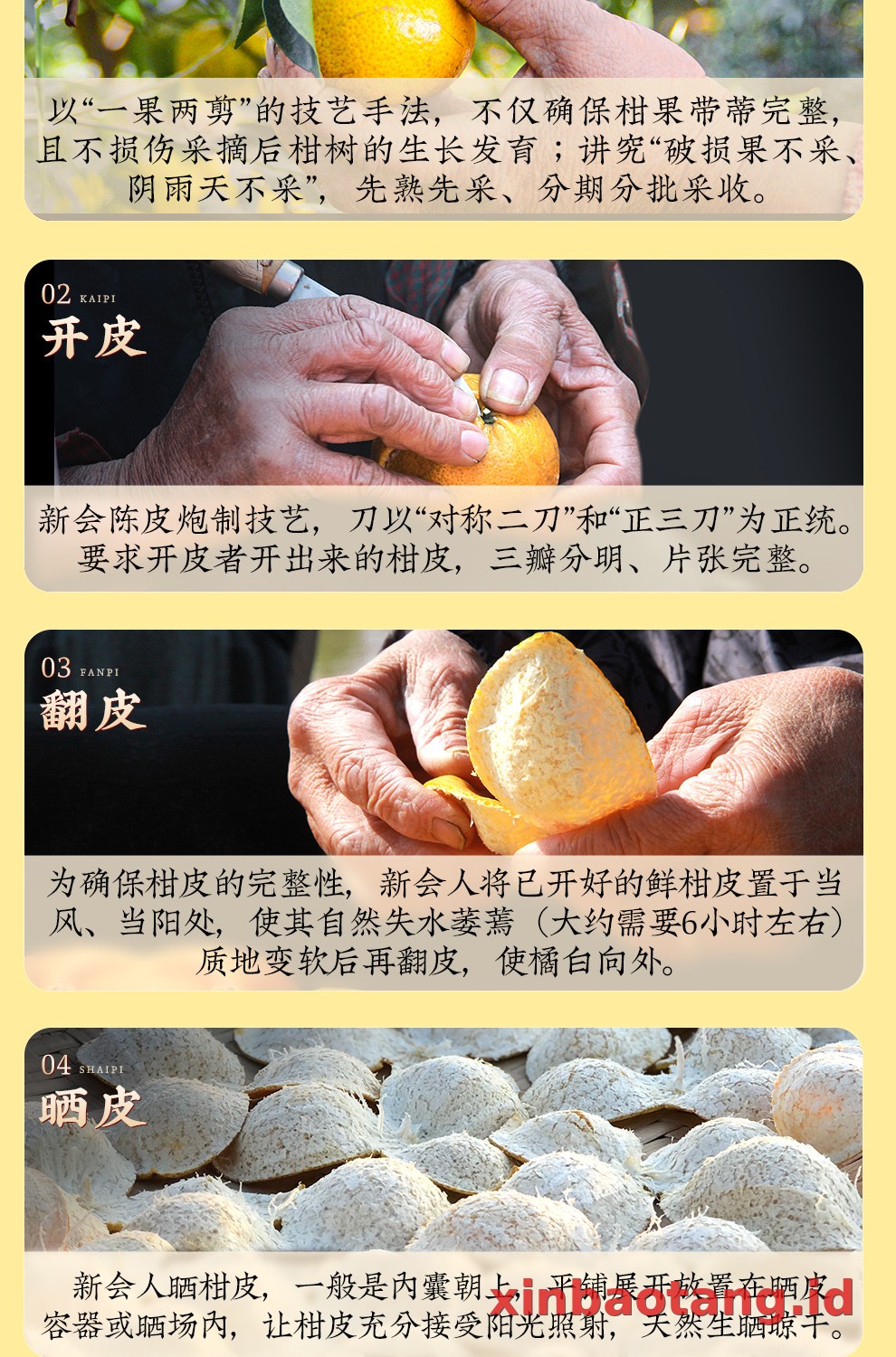 Xinbaotang Chenpi Kering Gift Box 60g