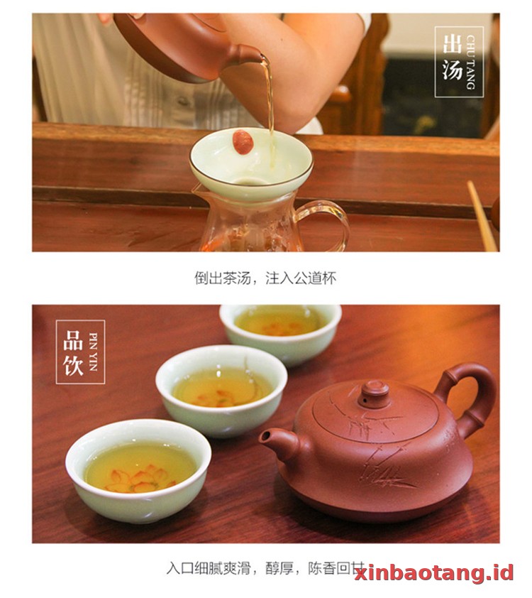 Xinbaotang Chenpu Teh Gift Box 108g