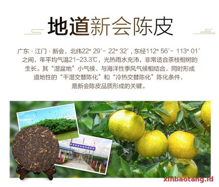 Xinbaotang Chenpu Teh Gift Box 108g