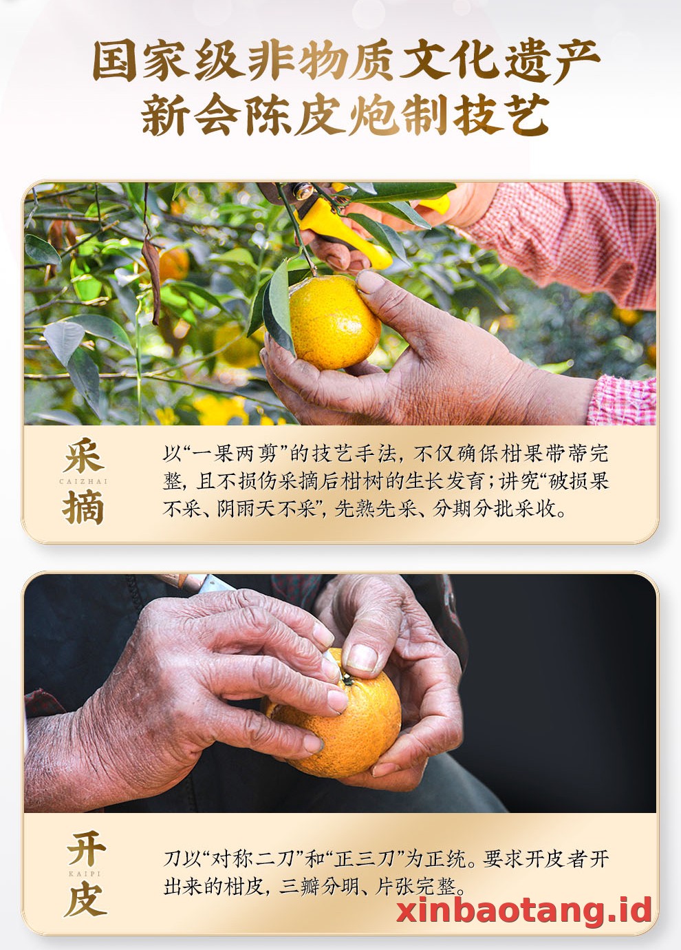 Xinbaotang Chenpi Kering Kaleng Besi 90g