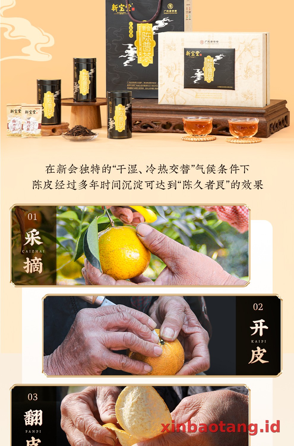 Xinbaotang Chenpi Kering Kaleng Besi 90g