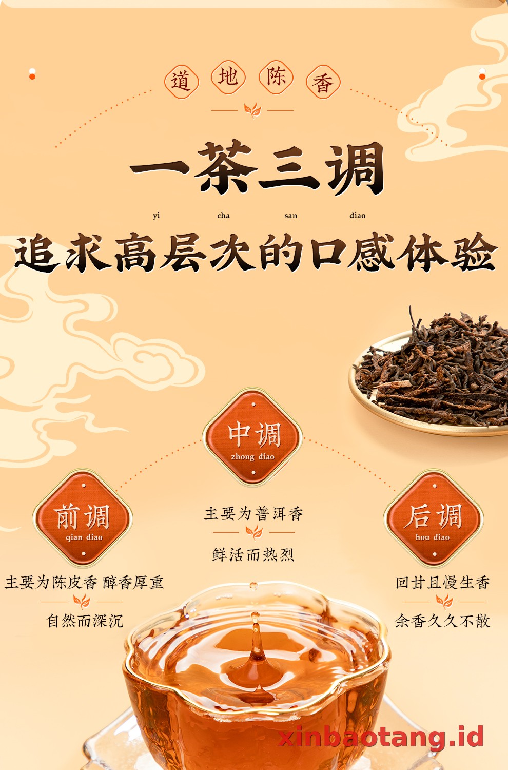 Xinbaotang Chenpu Teh Kaleng Besi 30g