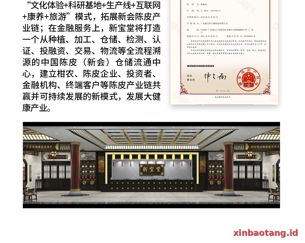 Xinbaotang Camilan Chenpi Snowflake 150g