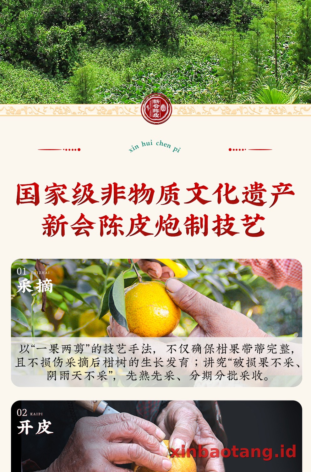 Xinbaotang Chenpi Kering 20 Tahun Porselen Biru-Putih 100g