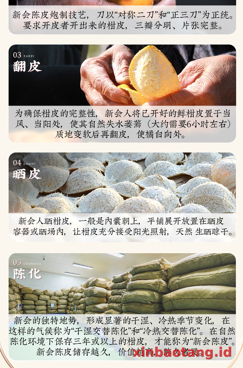 Xinbaotang Chenpi Kering 20 Tahun Porselen Biru-Putih 100g