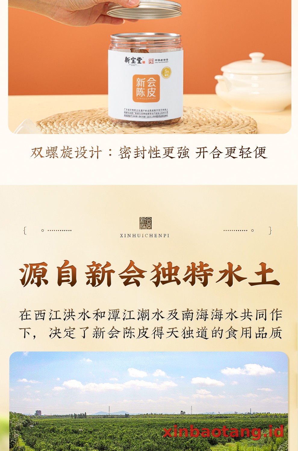 Xinbaotang Chenpi Kering Kaleng 50g