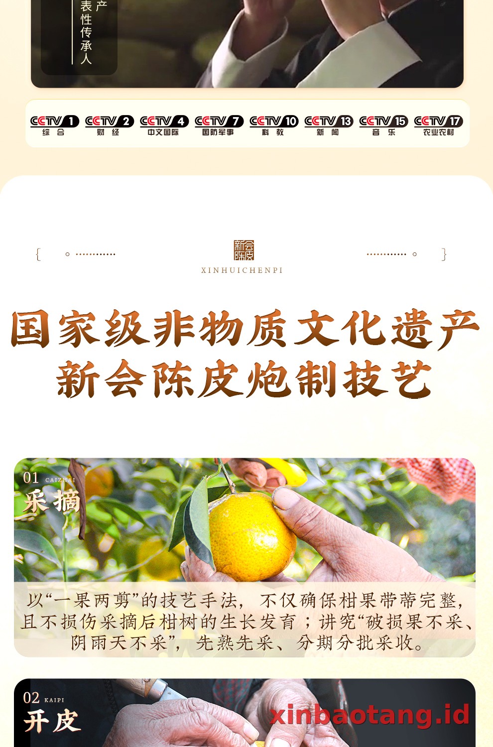 Xinbaotang Chenpi Kering Kaleng 50g