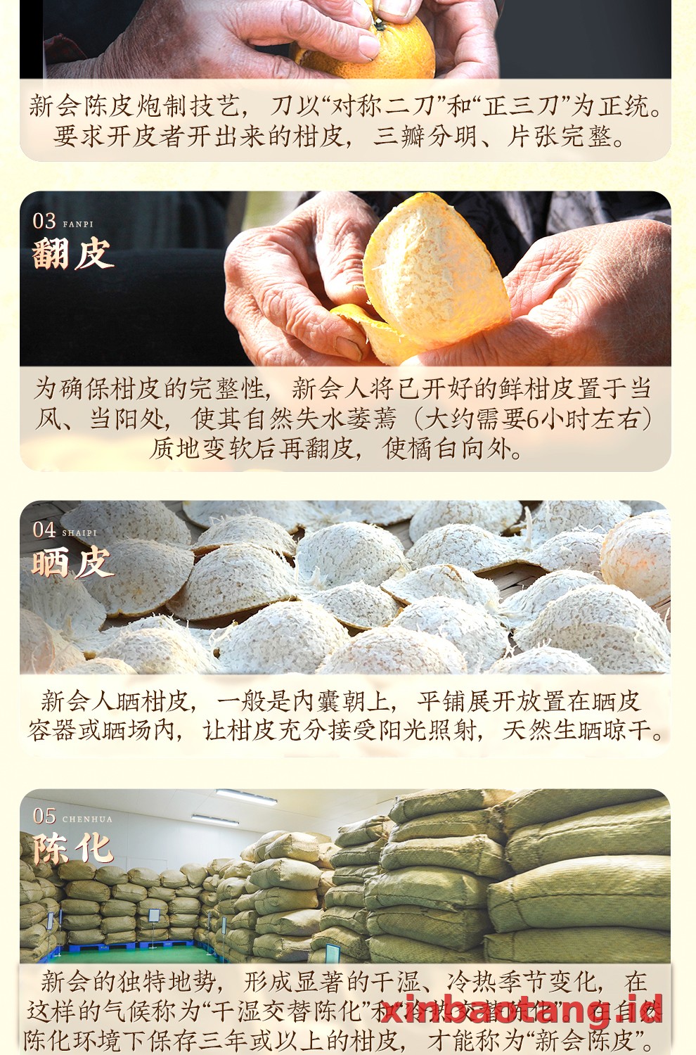 Xinbaotang Chenpi Kering Kaleng 50g