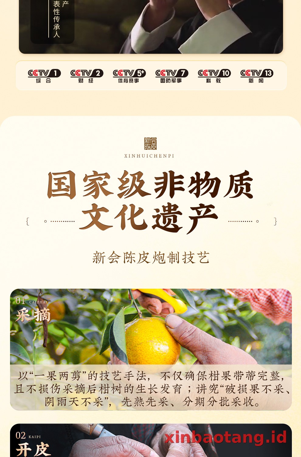 Xinbaotang Chenpi Kering 15 Tahun Kaleng 50g