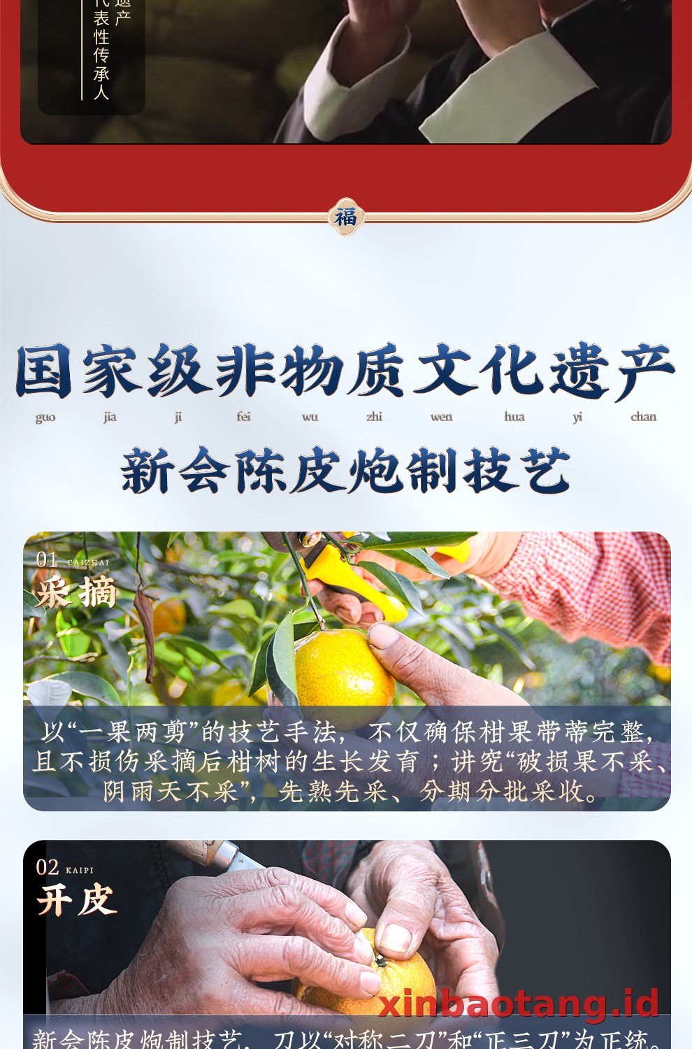 Xinbaotang Chenpi Kering Botol Kaca 250g