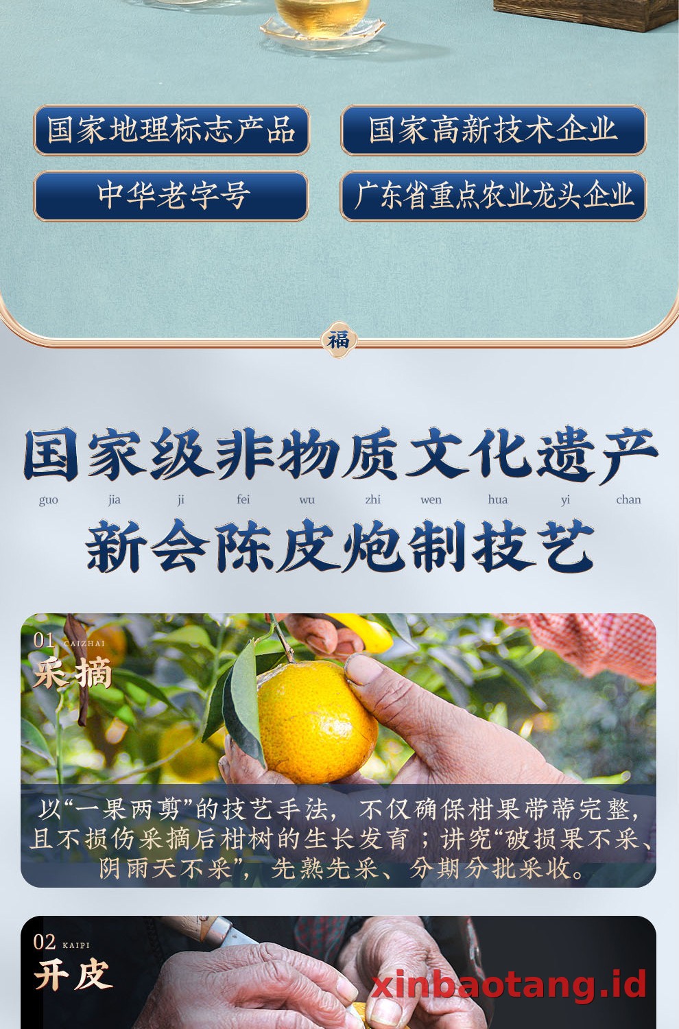 Xinbaotang Chenpi Kering Botol Kaca 250g