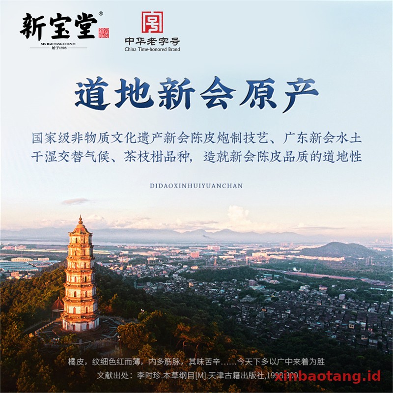 Xinbaotang Chenpi Kering Botol Kaca 250g - Gambar 5