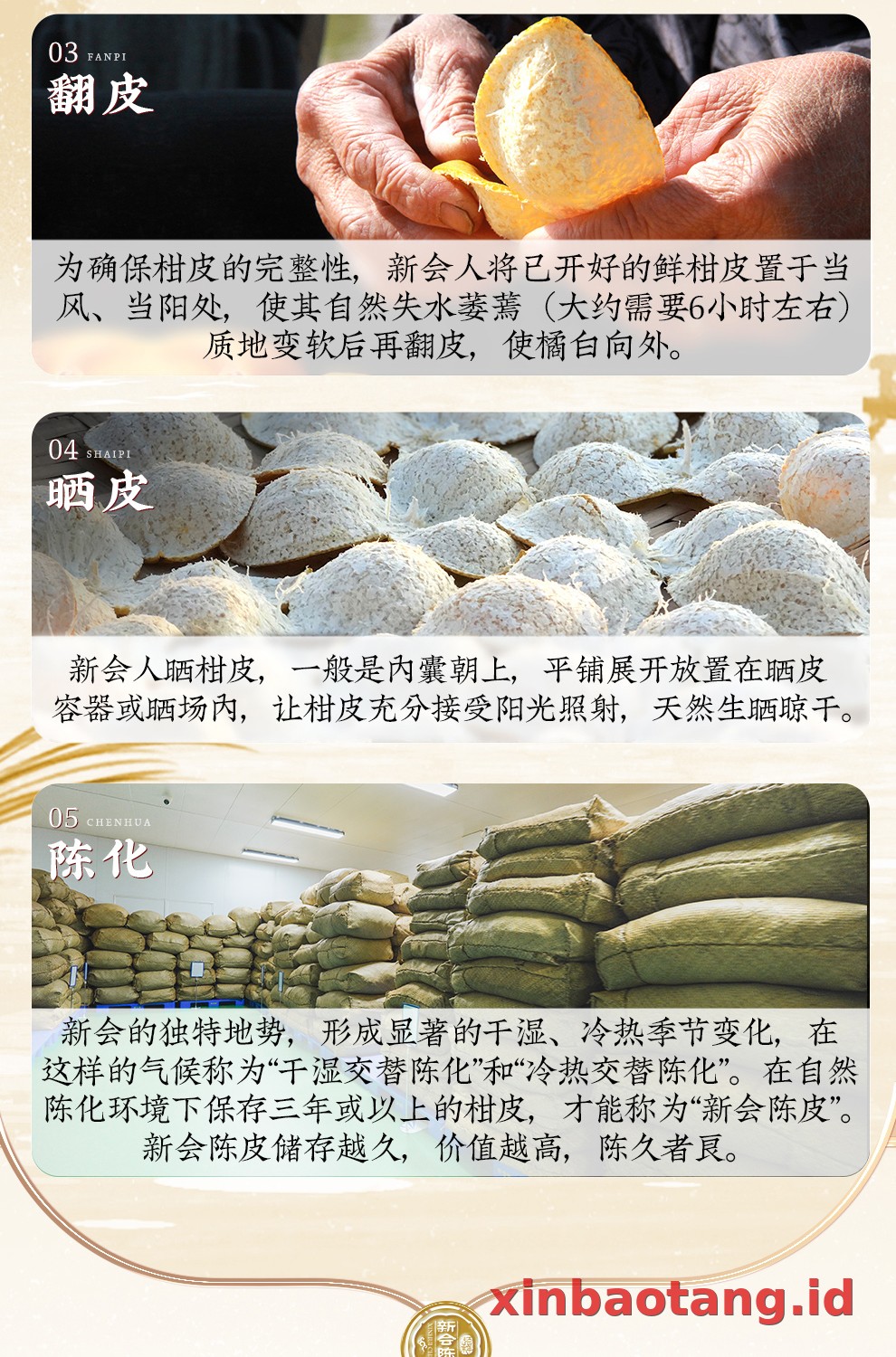 Xinbaotang Chenpi Kering Porselen Biru-Putih 200g