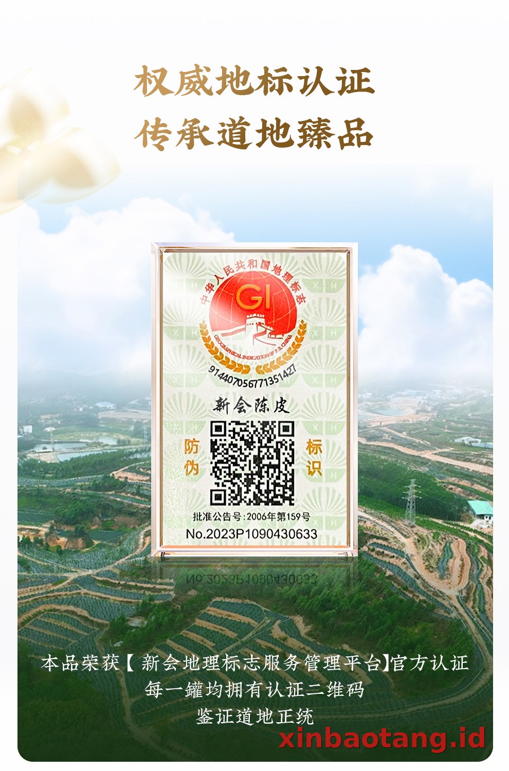 Xinbaotang Chenpi Kering