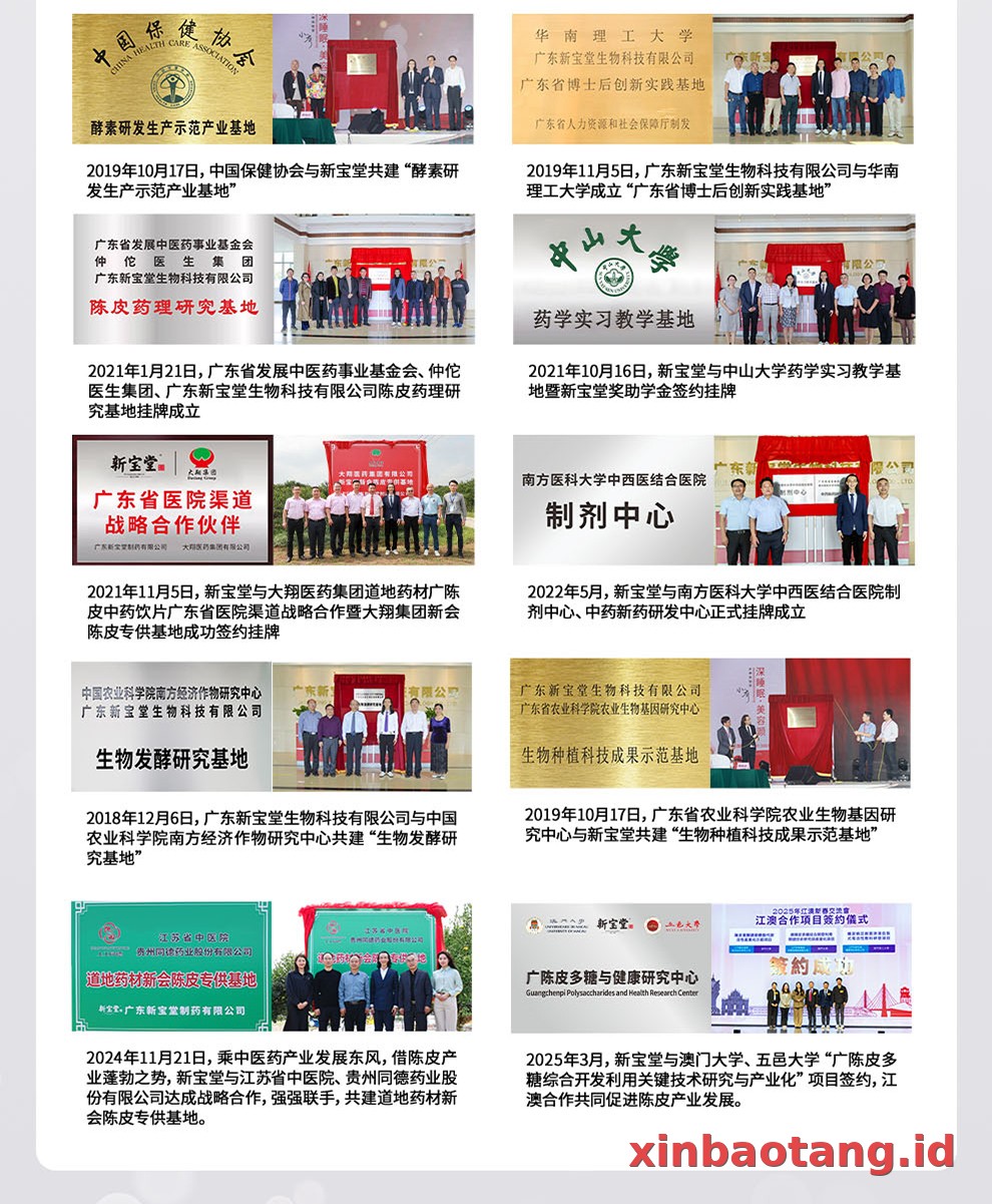 Xinbaotang Chenpi Kering