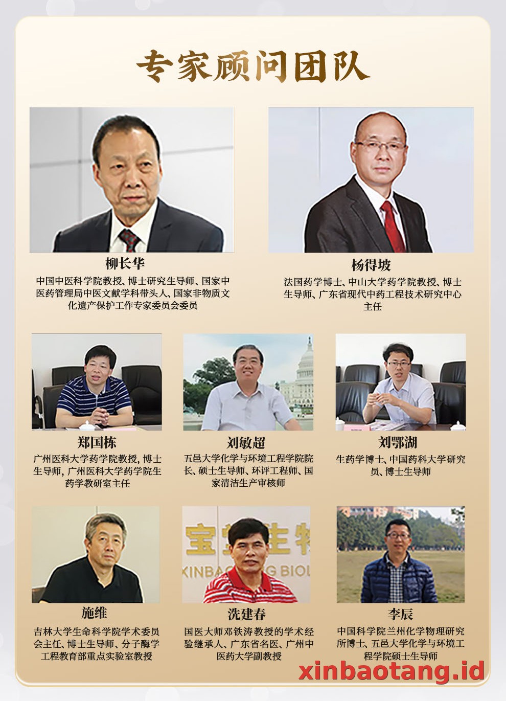 Xinbaotang Chenpi Kering
